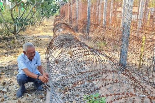 Trại giam tù binh Phú Quốc: 50 năm hồi ức mang tên 'địa ngục trần gian'