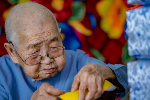 Vị Công tôn nữ cuối cùng làm gối tựa cung đình Huế qua đời