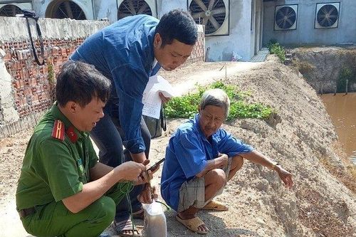 Bắt cơ sở nuôi 1.700 con heo không phép và xả thải sai quy định