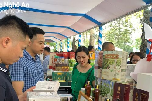 Thành phố Hồ Chí Minh hợp tác hỗ trợ Nghệ An phát triển các doanh nghiệp khởi nghiệp và đổi mới sáng tạo