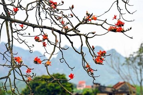 Tháng Ba