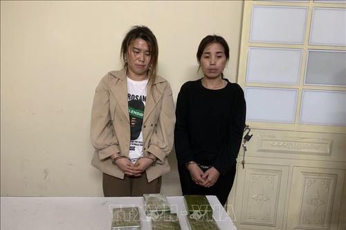 Liên tiếp bắt hai vụ mua bán trái phép chất ma túy số lượng lớn