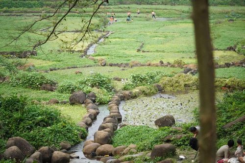 Hệ thống giếng cổ hàng nghìn năm tuổi độc đáo ở xã Gio An, Quảng Trị