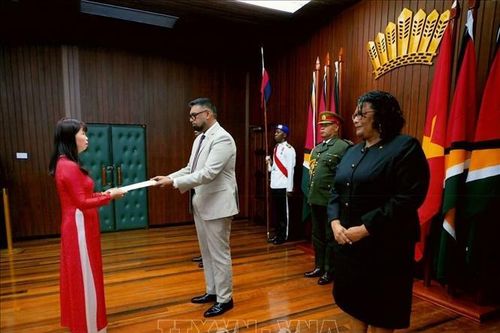 Guyana mong muốn tăng cường hợp tác với Việt Nam trong nhiều lĩnh vực