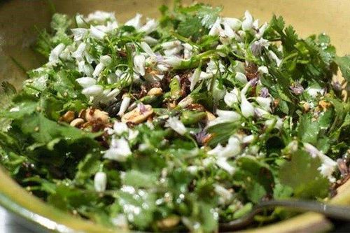 Thứ rau gia vị quá quen tưởng chỉ tô điểm món ăn lại giúp thải độc cực tốt