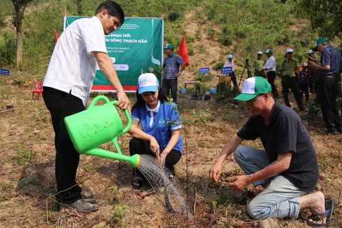 Khởi động dự án trồng và phục hồi rừng đầu nguồn sông Thạch Hãn năm 2023