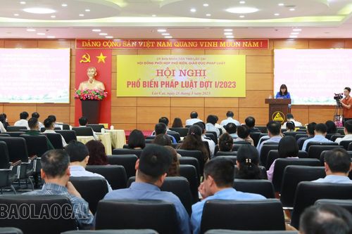 Gần 300 đại biểu được phổ biến pháp luật đợt I/2023