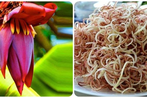 Điều gì sẽ xảy ra với cơ thể nếu bạn thường xuyên ăn hoa chuối?