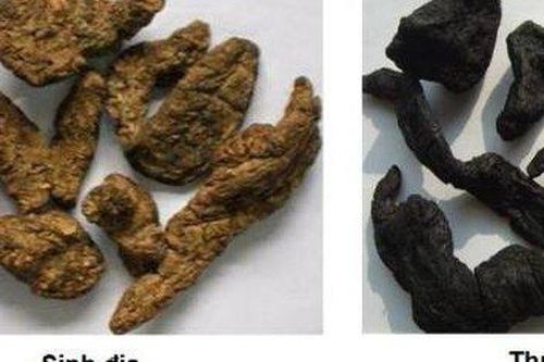 4 phương thuốc từ thục địa chữa tóc bạc sớm