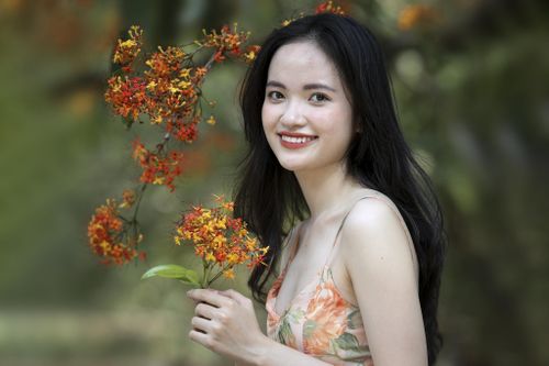 Hoa vàng anh khoe sắc ở vườn quốc gia Phong Nha - Kẻ Bàng