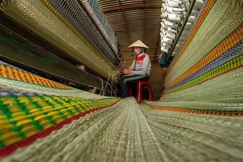 Nghề dệt chiếu cói Phú Tân
