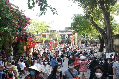 Quảng Nam kiên quyết xử lý tình trạng tổ chức tour du lịch 'chui', trốn thuế