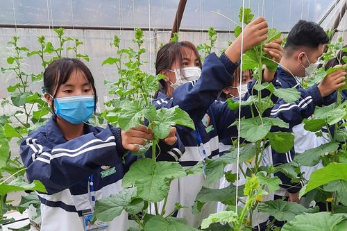 Nuôi dưỡng khát vọng khởi nghiệp