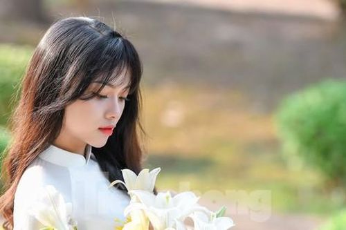Hoa loa kèn xuống phố dịu dàng tinh khôi gọi tháng tư về