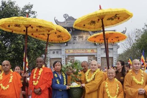 Hàng nghìn người đón cây bồ đề thiêng từ Sri Lanka về chùa Bái Đính