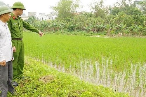 Người đàn ông căng dây điện bẫy chuột khiến hàng xóm tử vong