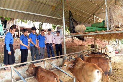 Hình thành lớp thanh niên sống có lý tưởng, hoài bão và làm kinh tế giỏi