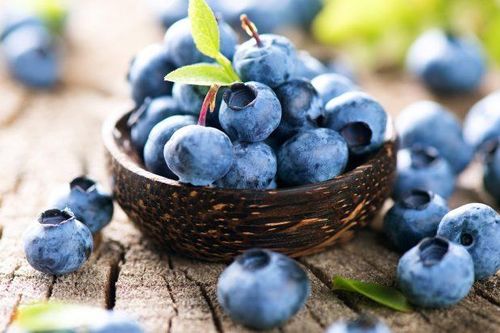 Lý do bạn nên ăn quả việt quất thường xuyên