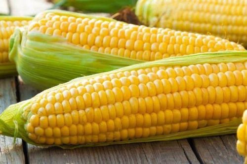 Ăn ngô quá nhiều gây hại cho cơ thể như thế nào?