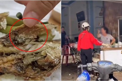 Mua cơm cô gái phát hiện ổ sinh vật ngoe nguẩy trong miếng thức ăn, chủ quán có phản ứng gây sốc
