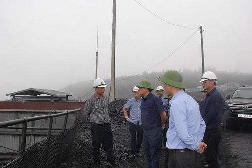 TKV kiểm tra sản xuất, chế biến than vùng Cẩm Phả