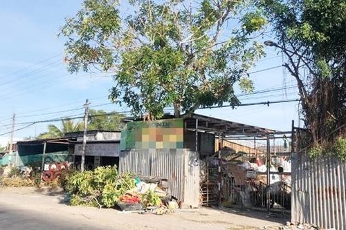 Đi chặt cây thuê, nam thanh niên ở Bạc Liêu bị điện giật tử vong