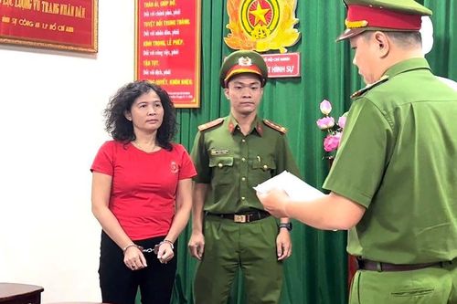 Tạm đình chỉ tư cách hành nghề luật sư của bị can Đặng Thị Hàn Ni