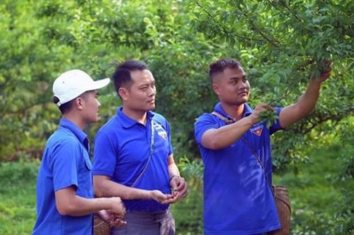 Những thanh niên dám nghĩ, dám làm
