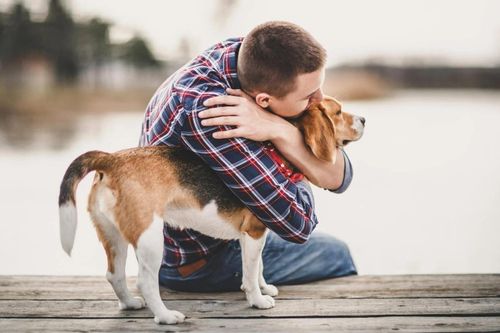 Vi khuẩn đa kháng thuốc có thể lây lan giữa người và vật nuôi