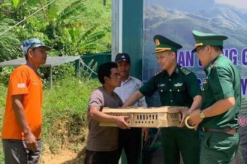 Nuôi ngan xóa nghèo ở biên giới Đakrông