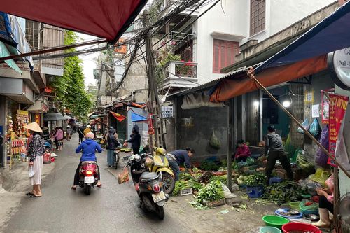 Hà Nội: Giá rau xanh giảm mạnh, thịt lợn ổn định do nguồn cung dồi dào