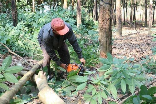 Bình Phước: Người dân hiến hàng ngàn m2 đất làm đường giao thông