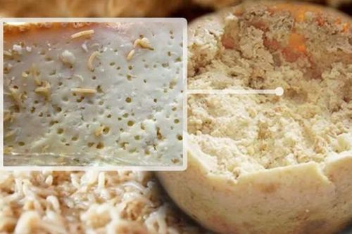 Top 10 món ăn kinh dị nhất thế giới: Người 'nhắm mắt nhắm mũi' khen ngon, kẻ gọi 'huệ' ngay từ giây phút đầu