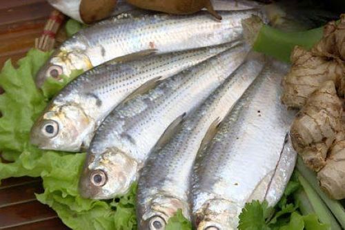 4 lợi ích sức khỏe tuyệt vời của cá mòi