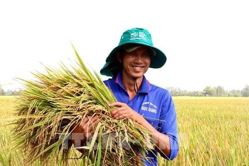 Không còn thời gian 'chần chừ' để thực hiện mục tiêu phát triển bền vững