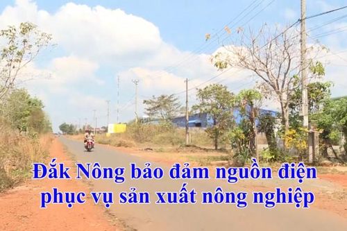 Đắk Nông bảo đảm nguồn điện phục vụ sản xuất nông nghiệp