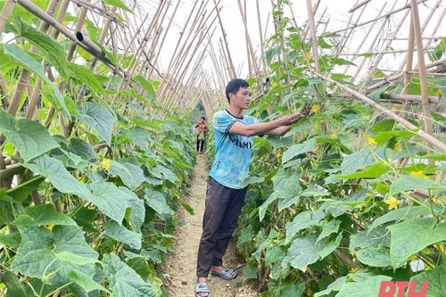Rà soát, sàng lọc đảng viên để nâng cao sức chiến đấu của tổ chức đảng ở Như Xuân