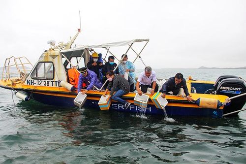 Khu bảo vệ hệ sinh thái biển Rạn Trào: Ngư dân được tự bảo vệ nguồn lợi