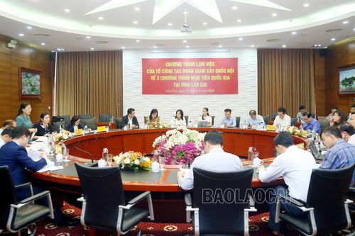 Giám sát kết quả thực hiện 3 chương trình mục tiêu quốc gia trên địa bàn tỉnh
