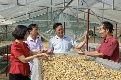Tiếp tục đề xuất đổi mới và đột phá cho dự thảo luật HTX sửa đổi: Cần giải quyết những bất cập và bất lợi cho HTX (Kỳ 2)