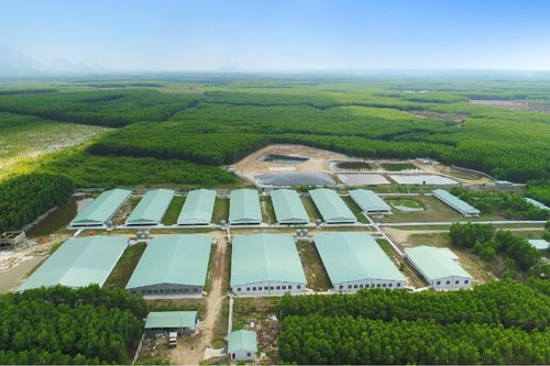 Nova Consumer đặt kế hoạch lợi nhuận giảm 70%, tiếp tục niêm yết cổ phiếu