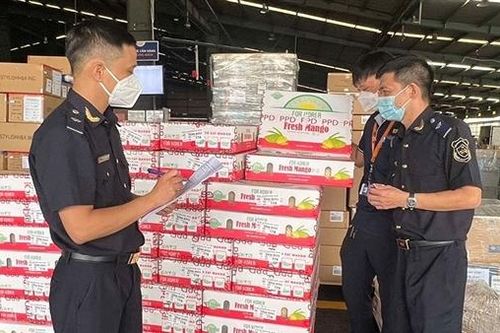Hoãn xuất cảnh hai giám đốc doanh nghiệp nợ thuế gần 17 tỷ đồng