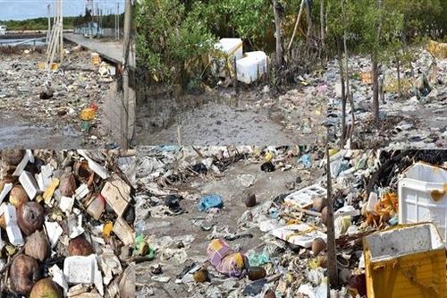 Bờ biển TP Bạc Liêu tràn ngập rác thải