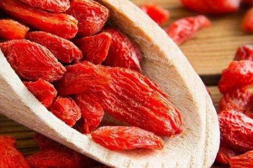 Cách dùng câu kỷ tử giảm đau lưng mỏi gối