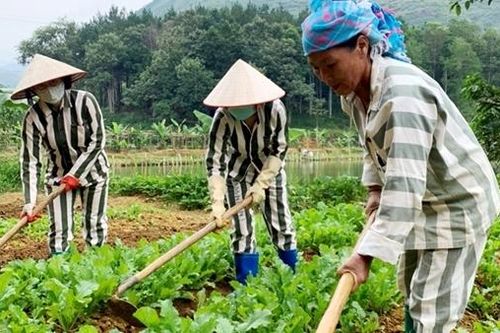 Những hối tiếc muộn màng
