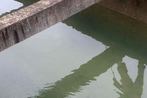 Quảng Trị: Phát hiện thi thể nam thanh niên tại mương nước