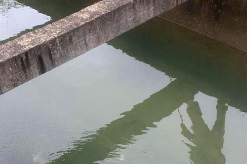 Phát hiện thi thể nam thanh niên dưới mương nước