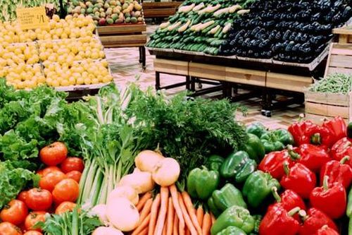 Hành động chuyển đổi hệ thống lương thực thực phẩm minh bạch, trách nhiệm và bền vững