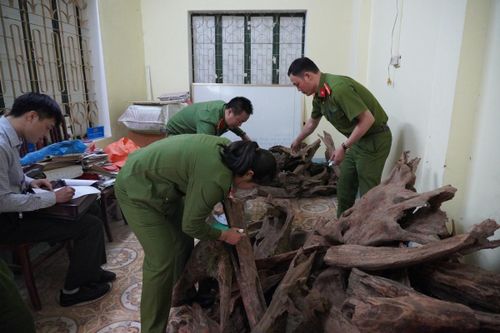 Công an Hà Giang thu giữ gần 1 tấn gỗ Ngọc Am quý hiếm