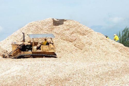 Ban IV kiến nghị Thủ tướng Chính phủ tháo gỡ khó khăn, vướng mắc cho doanh nghiệp